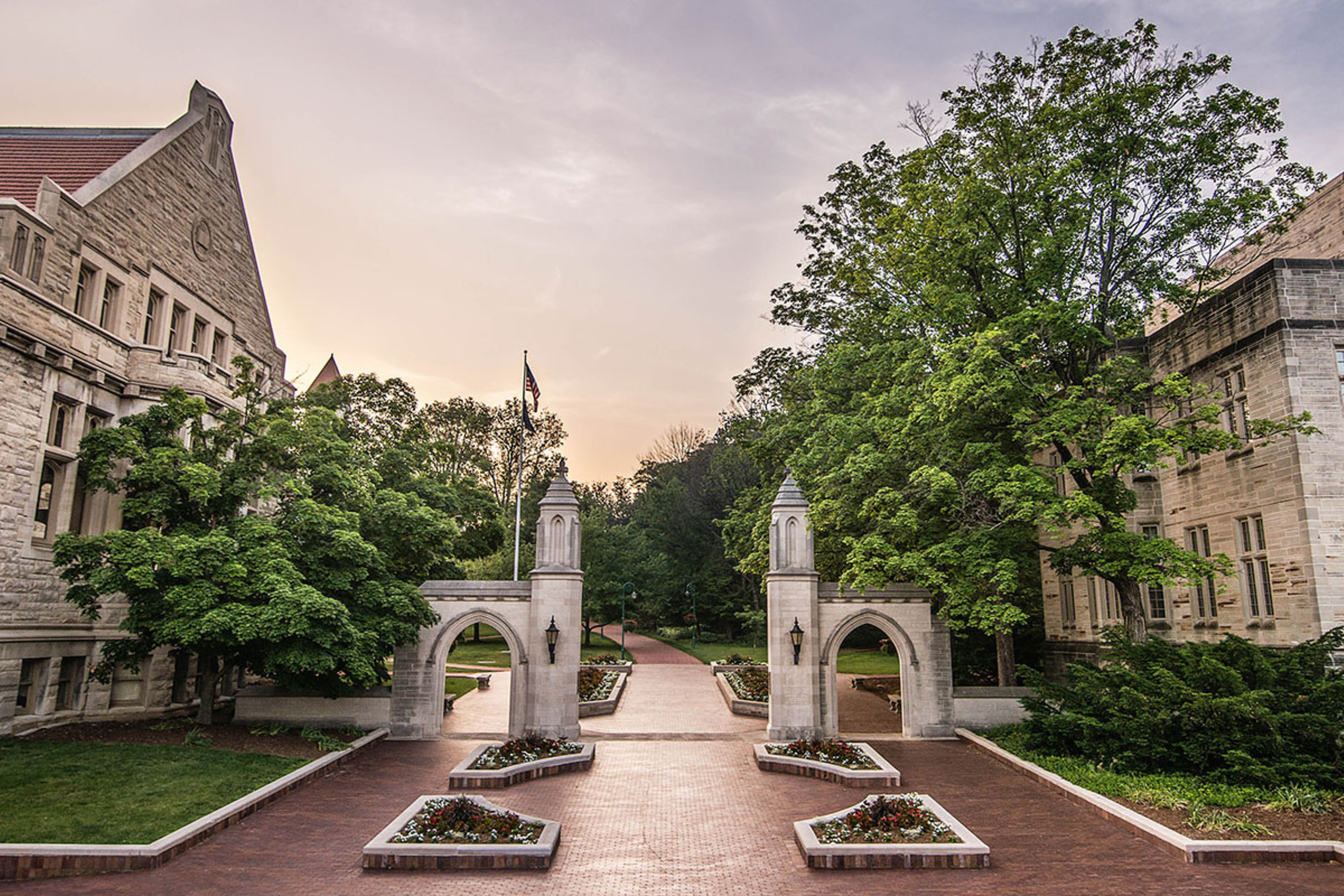 Image for Indiana University Kelley Direct Online MBA Program