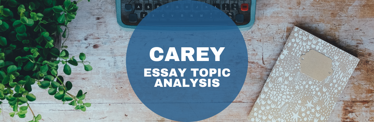 hopkins carey essay questions