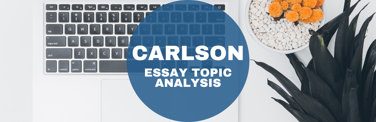 minnesota carlson mba essays